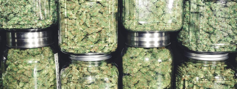 cannabis-jars