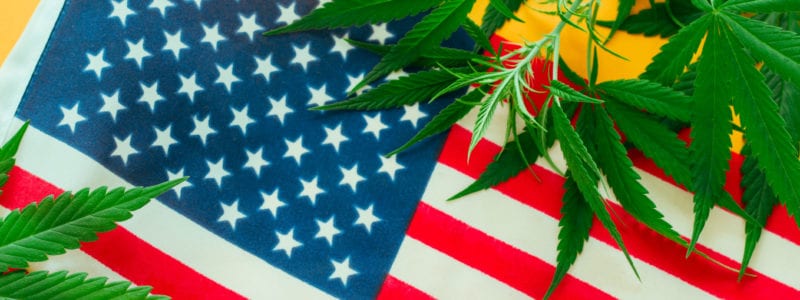marijuana-legalization-usa